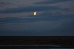 /foto1/2010/Воркута. 23сентября-6 окятбря. Р.Кара/Resize of IMG_4259.JPG